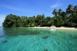 TamanNasionalTelukCenderawasih_170316