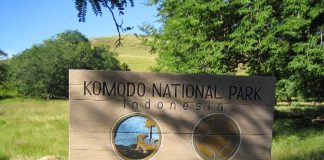 Perhatikan 6 Hal Ini Jika Liburan ke Taman Nasional Liburan ke Taman Nasional