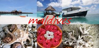 Tips Wisata Murah ke Maldives