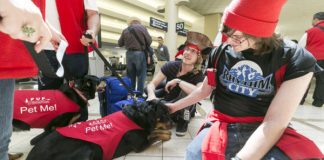 Stress Menunggu Delay, Dia Siap Memeluk Anda