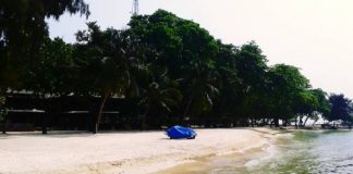 Melihat Kelinci di Bawah Laut Kepulauan Seribu