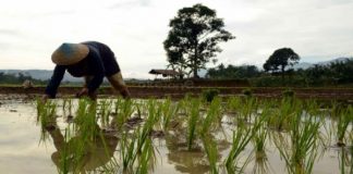Kemenhub: Bandara Karawang Tak Dibangun di Atas Sawah