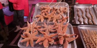 Mencicipi Kuliner Ekstrem Negeri Tirai Bambu di Wangfujing