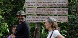 Wah, “Traveling” Bisa Kurangi Emisi Karbon Dioksida