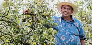 Edy Antoro, Menyulap Batu Menjadi Apel