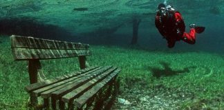 Saat musim panas, taman ini akan berubah jadi danau cantik