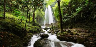 10 Tempat Wisata di Solo yang Wajib Dikunjungi