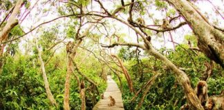 10 Tempat Wisata di Banjarmasin yang Wajib Dikunjungi