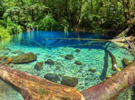 10 Tempat Wisata di Jambi yang Wajib Dikunjungi tempat wisata di jambi