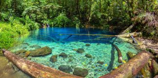 10 Tempat Wisata di Jambi yang Wajib Dikunjungi tempat wisata di jambi