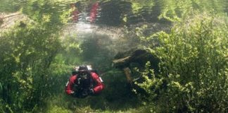 Indahnya Padang Rumput Bawah Air