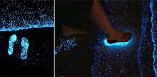 Fenomena – Fenomena Air Yang Bersinar Saat Kegelapan