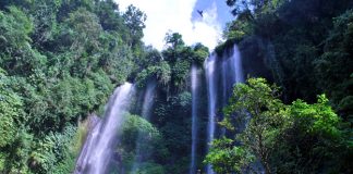 7 Air Terjun Indah yang Tersembunyi di Pulau Bali