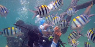 10 Tempat Snorkeling Favorit di Indonesia
