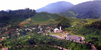 Mau ke Puncak Tapi Nggak Kena Macet, Lewat Sini Saja