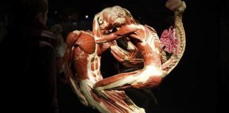 Siapa Berani Datang ke Museum Mayat?