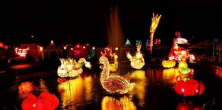 Liburan ke Malang? Ini Dia 10 Tempat Wisata yang Wajib Dikunjungi.