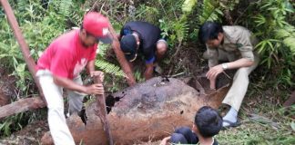 Bangkai Pesawat Konfrontasi Indo-Malay Ditemukan di Sebatik