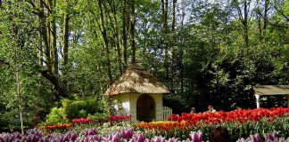 Keukenhof, Taman Bunga Terbesar di Dunia Ada di Belanda