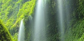 Indonesia Punya Air Terjun Cantik, Madakaripura.