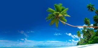 5 Alasan Kamu Harus Berlibur ke Pantai