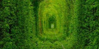 Tunnel of Love, Terowong Menakjubkan di Ukraina