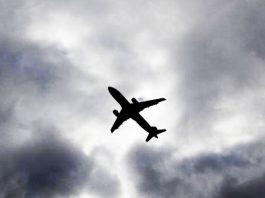 Jet Pribadi Jatuh, Mantan Menteri Transportasi Kanada dan Keluarga Tewas