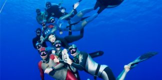 Ini, Tips Free Diving untuk Pemula