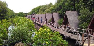Liburan Ini Wisata ke Hutan Mangrove PIK, Yuk!