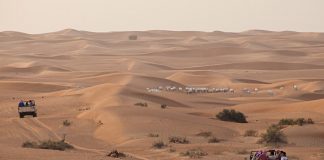 Ini, 8 Tempat untuk Rasakan Pesona Musim Semi di Dubai