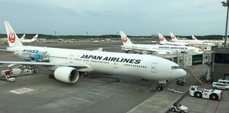 Mesin Japan Airlines Kemasukan Burung, Penerbangan Tertunda