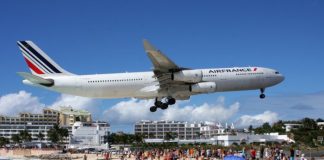 Inilah Tempat Hinggap Terindah Bagi Burung Besi