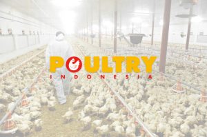 majalah-poultry-indonesia