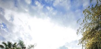 It’s all sun, scenery, and fun at Taman Ujung Water Palace, Karangasem, Bali!
Ex… It's all sun, scenery, and fun at Taman Ujung Water Palace, Karangasem, Bali!
Ex...