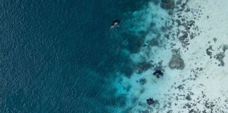 Who’s up for an adventure at the Komodo National Park?
This breathtaking captu… Who's up for an adventure at the Komodo National Park? This breathtaking captu...