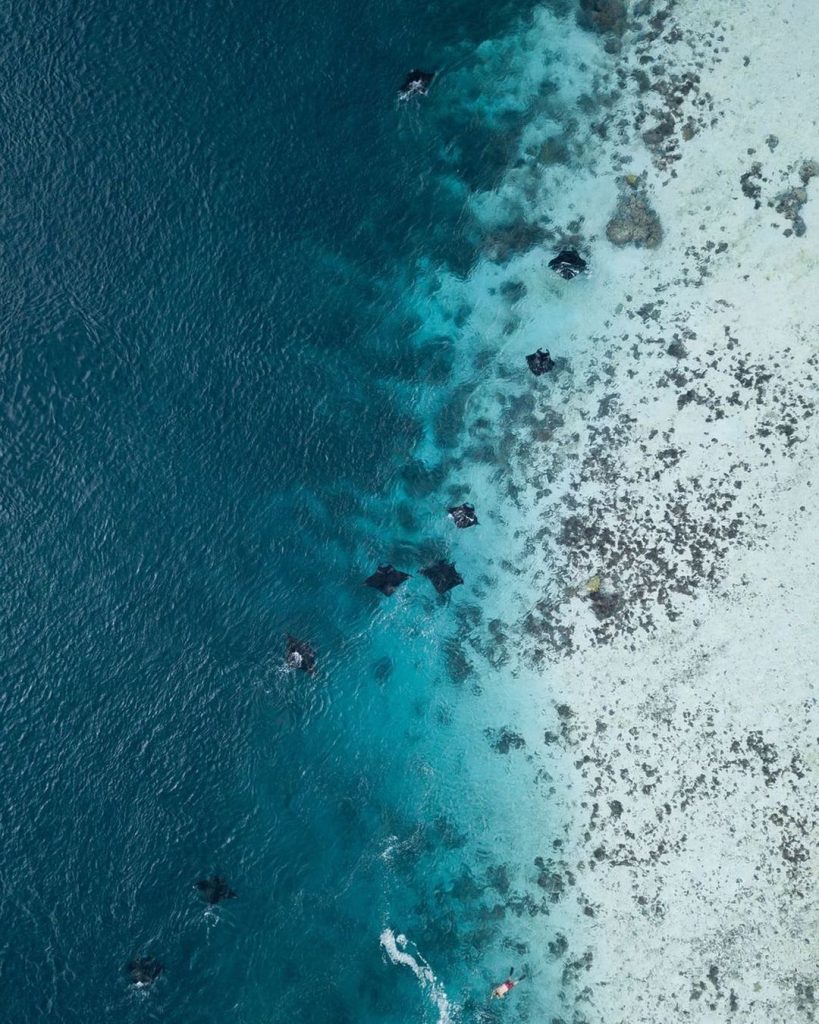 Who's up for an adventure at the Komodo National Park? This breathtaking captu...