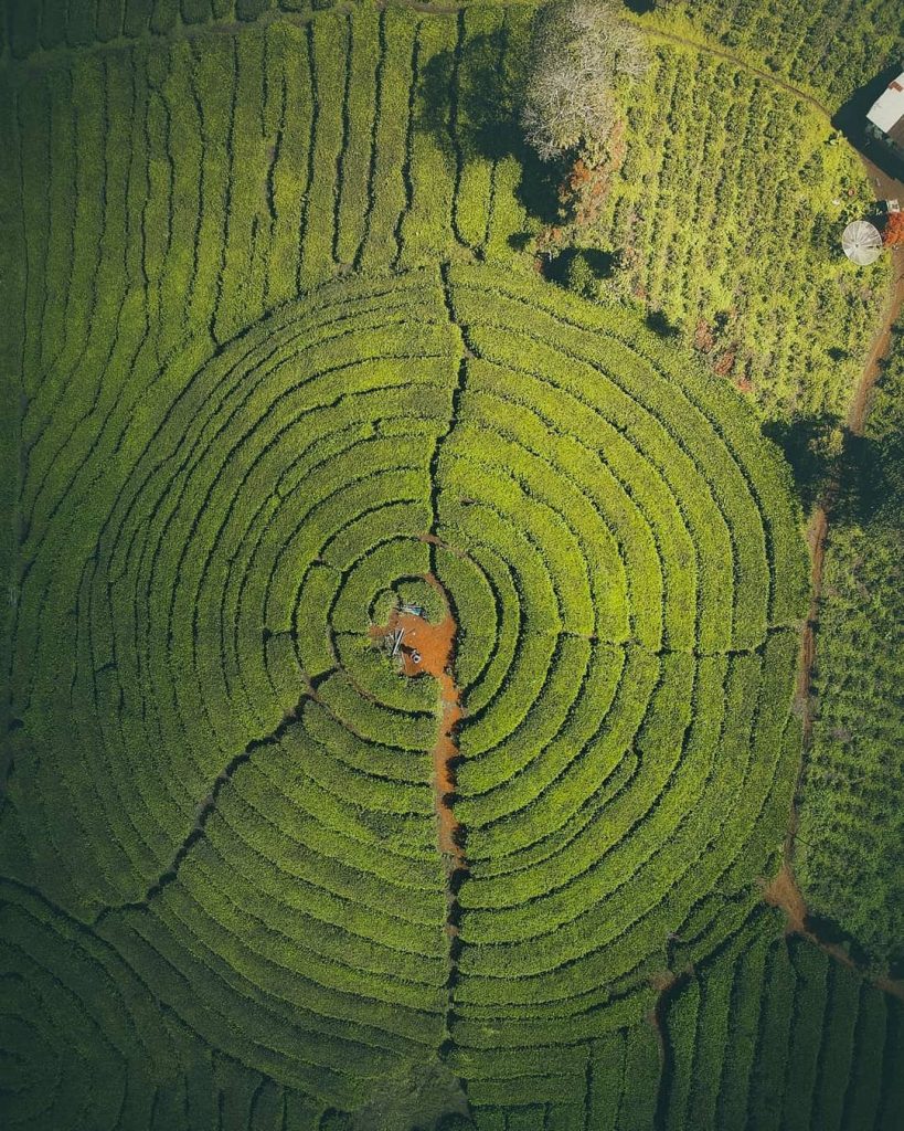 Take us to Alahan Panjang Tea Garden, West Sumatra, please! 

This bird's-eye vi...