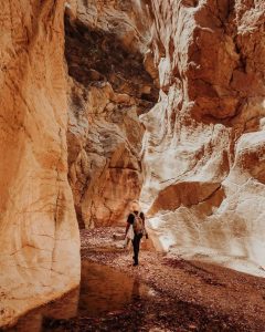 Get your dose of adventure at Kona Ba'u Cave, East Nusa Tenggara!
Head over to t...