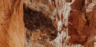 Get your dose of adventure at Kona Ba’u Cave, East Nusa Tenggara!
Head over to t… Get your dose of adventure at Kona Ba'u Cave, East Nusa Tenggara!
Head over to t...