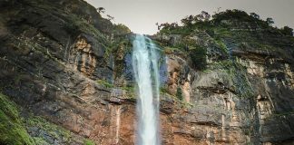 Here’s a dose of refreshing scenery!
This amazing shot features the 60-meter-tal… Here’s a dose of refreshing scenery!
This amazing shot features the 60-meter-tal...