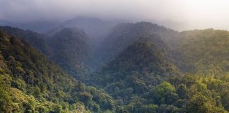 Refreshing views, anyone?
This aerial shot of the Situ Gunung Suspension Bridge … Refreshing views, anyone?
This aerial shot of the Situ Gunung Suspension Bridge ...