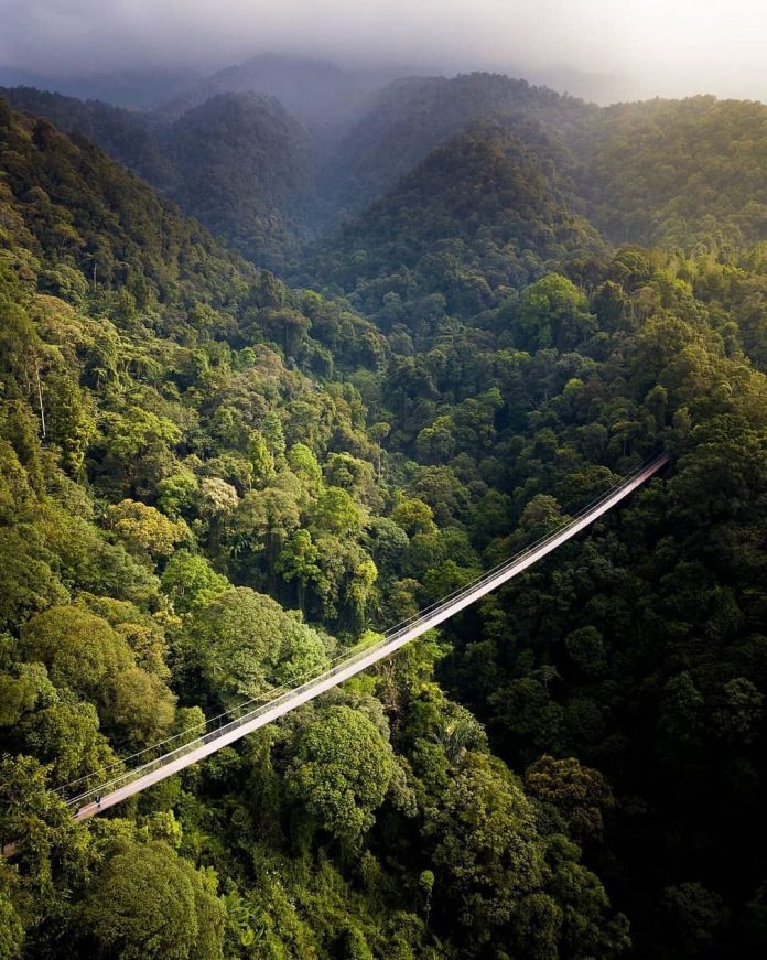 Refreshing views, anyone?
This aerial shot of the Situ Gunung Suspension Bridge ...