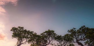 Relax and enjoy spectacular views of the sunset at Walakiri Beach!
Located in Su… Relax and enjoy spectacular views of the sunset at Walakiri Beach!
Located in Su...