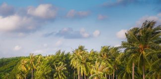A truly mesmerizing sight of the gorgeous #beach in #Karimunjawa, #Jepara, #Cent… A truly mesmerizing sight of the gorgeous #beach in #Karimunjawa, #Jepara, #Cent...