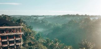 Chill in Bali’s longest infinity #pool at @padmaubud resort in #Ubud, #Bali wher… Chill in Bali’s longest infinity #pool at @padmaubud resort in #Ubud, #Bali wher...