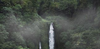 Feel the peaceful atmosphere of #BanyumalaTwinWaterfalls in #Buleleng, #Bali, as… Feel the peaceful atmosphere of #BanyumalaTwinWaterfalls in #Buleleng, #Bali, as...