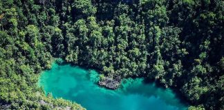 Can you feel the lovely vibes of Lake Tobelo captured in this gorgeous picture b… Can you feel the lovely vibes of Lake Tobelo captured in this gorgeous picture b...