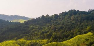 Walk along Larata Hills and soothe your eyes with stunning views around you, as … Walk along Larata Hills and soothe your eyes with stunning views around you, as ...