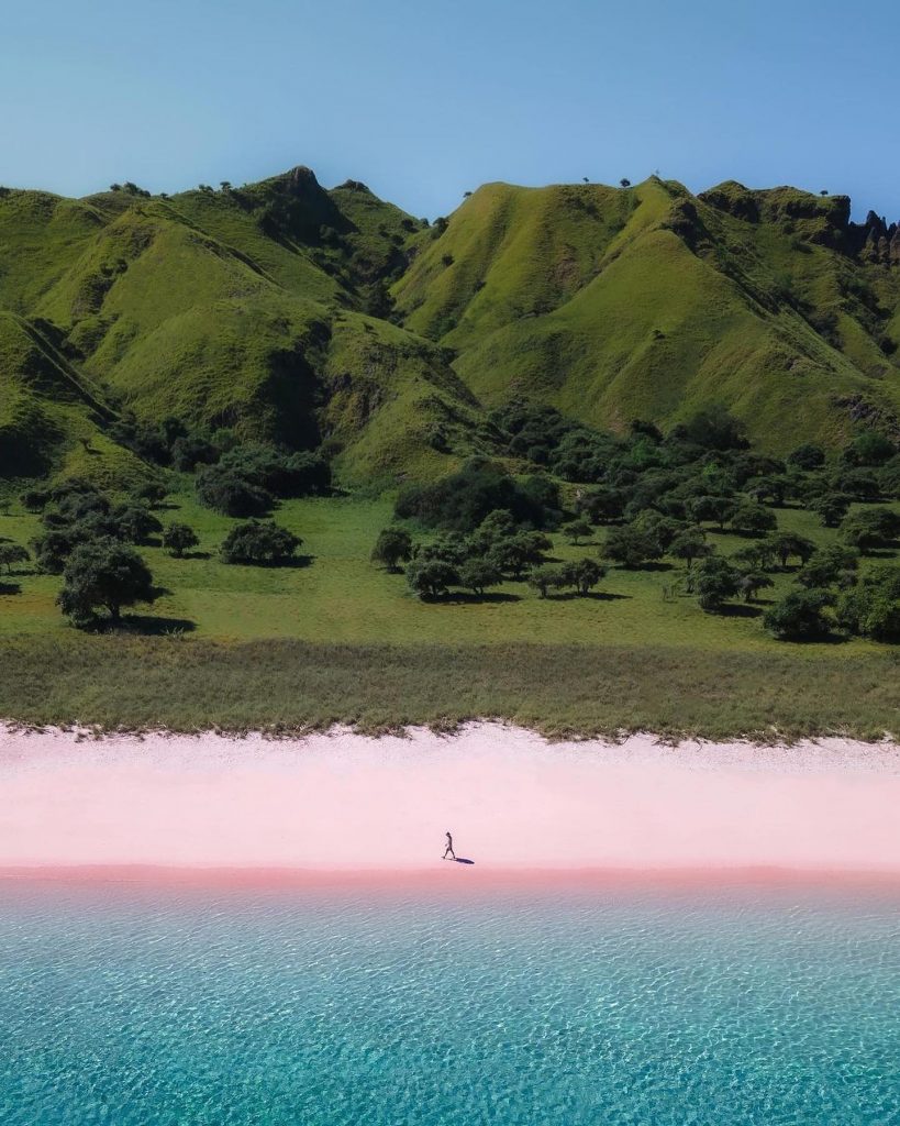 What a beautiful addition to the usual #tropical shades! Found on the southeaste...