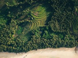 Fond of terraced rice paddies? Love beaches? Why not experience both at the same… Fond of terraced rice paddies? Love beaches? Why not experience both at the same...